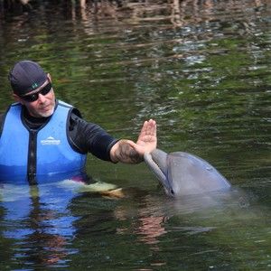 Meet your Posher, Gregory